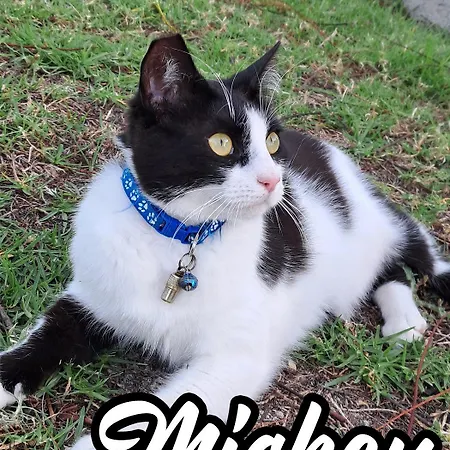 Wonderview Exclusive شقة Kremastí