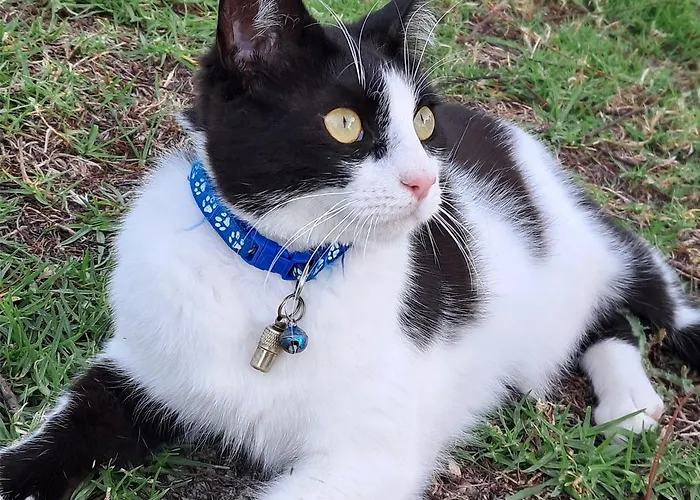 Wonderview Exclusive Daire Kremastí