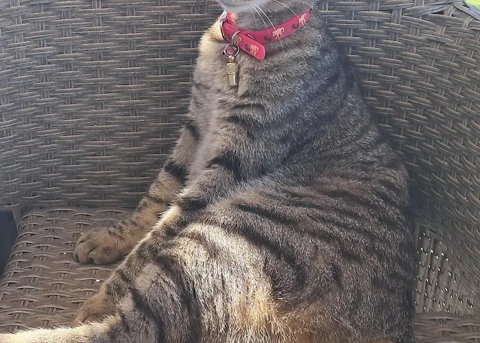 アパート Wonderview Exclusive *